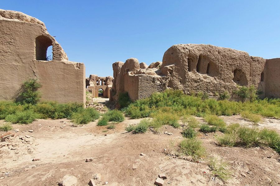 Termez Wonders: One-Day Cultural Tour - Complete Guide