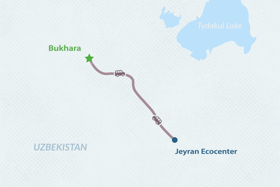 Wildlife Escape: Day Trip to Jeyran Ecocenter from Bukhara - Complete Guide