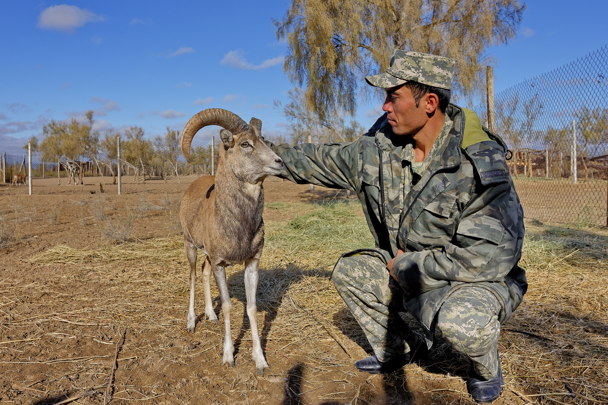  Wildlife Escape: Day Trip to Jeyran Ecocenter from Bukhara