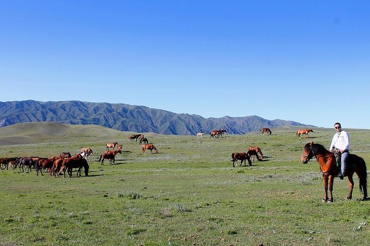  Nuratau Horse Riding Adventure – 2-Day from Bukhara