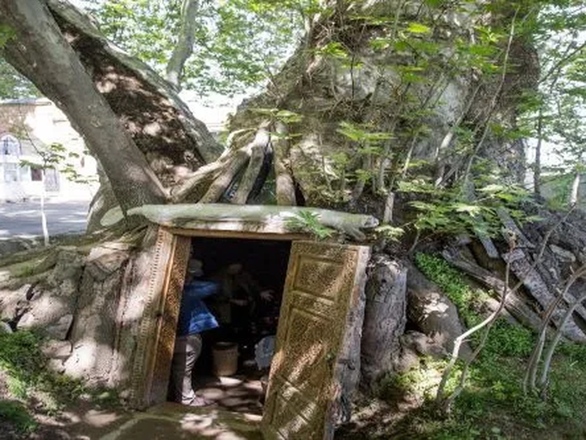 Cultural Journey: Silk Carpet, Konigil Paper, Urgut  Chor Chinor - Uzbekistan tour | TravelBliss Samarkand